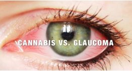 In What Ways Can Cannabis Help Fight The Rise in Glaucoma?